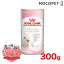 ロイヤルカナン ベビーキャットミルク 300g / Baby Cat Milk / FHN 猫 ドライフード ジッパー無し #w-105410-00-00[SoLc]