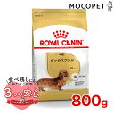 ロイヤルカナン ダックスフンド 成犬用 800g / ダックスフンド成犬用（生後10ヵ月齢以上） / BHN 犬 ドライフード ジッパー有り w-113783-00-00 WS2024