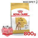 ロイヤルカナン プードル 成犬用 800g / プードル成犬用（生後10ヵ月齢以上） / BHN 犬 ドライフード ジッパー有り #w-113784-00-00