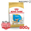 ロイヤルカナン チワワ 子犬用 800g / チワワ 子犬用（生後8ヵ月齢まで） / BHN 犬 ドライフード ジッパー有り #w-113787-00-00