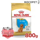 ロイヤルカナン プードル 子犬用 800g / プードル子犬用（生後10ヵ月齢まで） / BHN 犬 ドライフード ジッパー有り #w-113788-00-00