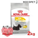 【最大400円クーポン有※要取得】ロイヤルカナン ミニ ダーマコンフォート 2kg / 小型犬 皮膚の健康を維持したい犬用（生後10ヵ月齢以上） / CCN 犬 ドライフード ジッパー有り w-120995-00-00