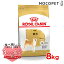 ロイヤルカナン 柴犬 成犬用 8kg / 柴犬 成犬用(生後10ヵ月齢以上) / BHN 犬 ドライフード ジッパー有り #w-130430-00-00 13,407円