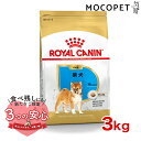 ロイヤルカナン 柴犬 子犬用 3kg / 柴