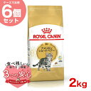 【お得な6個セット】ロイヤルカナン アメリカン ショートヘアー 2kg /成猫用（生後12ヵ月齢から12歳まで） / FBN 猫 ドライフード ジッパー有り #w-149007-00-00