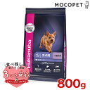 Eukanuba スモール パピー 800g / ドッグフード ドライフード 子犬用 小型犬 3182550909341 #w-162046-00-00