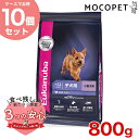 Eukanuba スモール パピー 800g / ドッグフード ドライフード 子犬用 小型犬 13182550909348 #w-162047-00-00