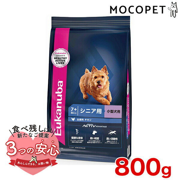 [[Jko]Eukanuba X[ VjA 800g / hbOt[h hCt[h p ^ 3182550909433 #w-162056-00-00yeuk_20q4z