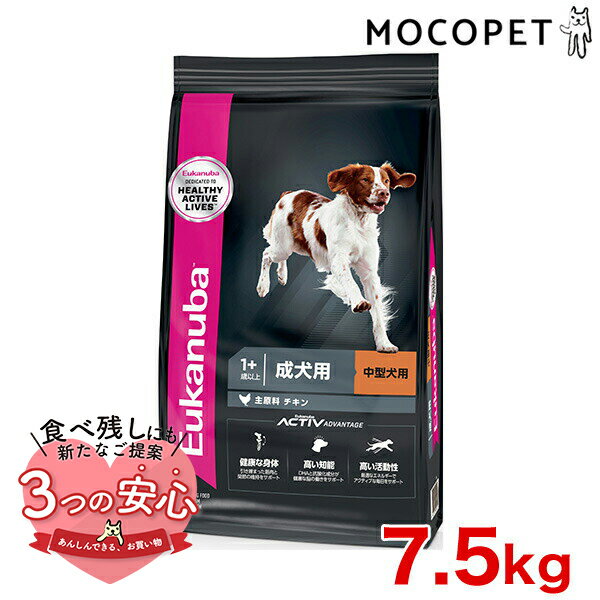 6/1Ψ1/2100%PԸ+400ߥݥͭ[桼̥]Eukanuba ߥǥ  7.5kg / ...