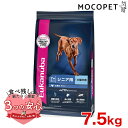 Eukanuba ラージ シニア 7.5kg / ドッグフード ドライフード 高齢犬用 大型犬 3182550909716 #w-162082-00-00