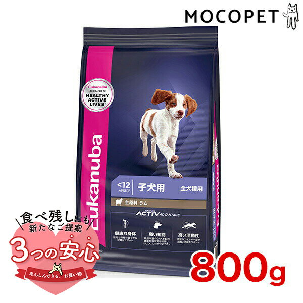 [桼̥]Eukanuba ѥԡ 饤 800g / ɥåա ɥ饤ա Ҹ  ʪ륮б 3182550909730 #w-162084-00-00euk_20q4