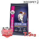 Eukanuba パピー ラム＆ライス 7.5kg / ドッグフード ドライフード 子犬用 犬 食物アレルギー対応 3182550909754 #w-162088-00-00