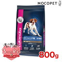 Eukanuba シニア ラム＆ライス 800g / ドッグフード ドライフード 高齢犬用 犬 食物アレルギー対応 3182550909815 #w-162093-00-00