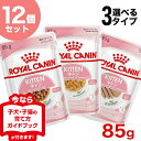 ロイヤルカナン キトン 85g×12袋 グレービー ゼリー ローフ 生後12ヵ月齢までの子猫用 安心の正規品 猫 半生  