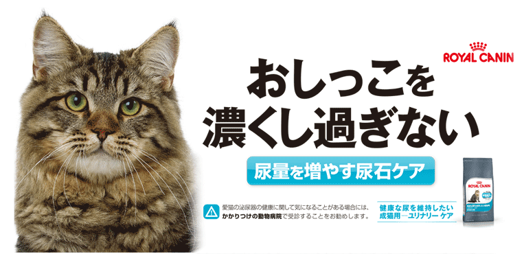 【あす楽】ロイヤルカナン ユリナリーケア 成猫用 【ドライ 2kg + ウェット 12パック】 尿路結石予防 健康な尿を維持したい成猫用 キャットフード 半生 【IN_201604_05】【RC_DRY】[RC2204]