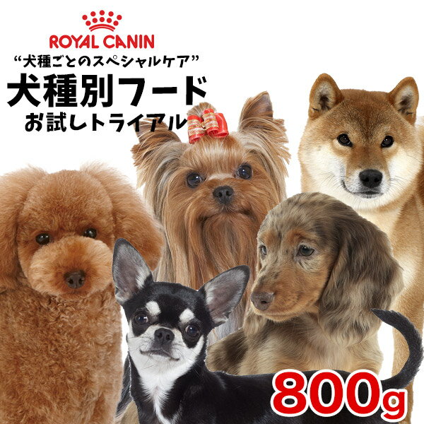 ロイヤルカナン 犬種別シリーズ お試し800g / ダックスフンド チワワ プードル 柴犬 ヨークシャーテリア / 子犬 成犬 高齢犬 / お試しサイズ