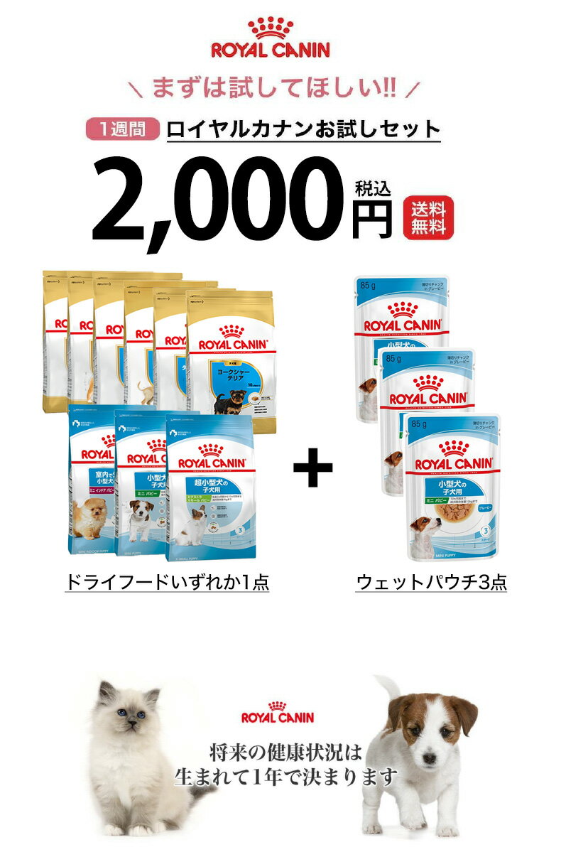 【あす楽】ロイヤルカナン 子犬シリーズ お試し トライアルサイズ 生後2ヶ月齢(成長期後期)から / パピー 超小型犬 小型犬 中型犬 エクストラスモール ミニインドア プードル チワワ ミニチュアダックスフンド 柴犬 ヨークシャーテリア トイプードル フレブル[rev_c]