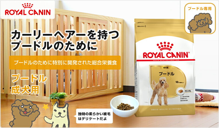 【あす楽】ロイヤルカナン プードル 1.5kg / 成犬用 生後10ヵ月齢以上/ 犬 /[ROYAL CANIN BHN 犬用ドライ いぬ DOG ドッグフード] 3182550743174 #w-145108【bhn_201603_03】[BHNW]【お得な6個セット】【RCA】【RCSC】