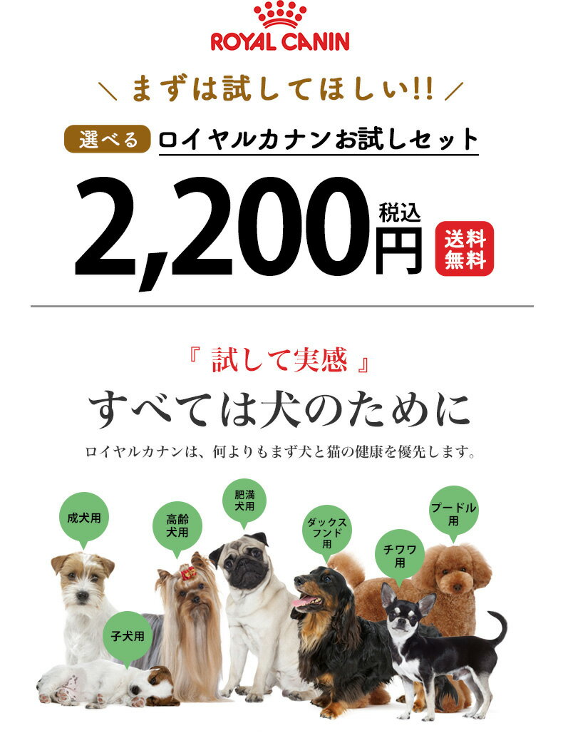 ロイヤルカナン 小型犬用 お試しスターターセット / ドライフード ウエットフード royal cain ダックスフンド プードル チワワ 超小型犬 子犬 成犬 老犬 アダルト シニア【RCA】[rev_c] [SoLd] 2