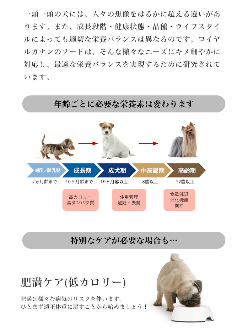 楽天市場 ロイヤルカナン 小型犬用 お試しスターターセット ドライフード ウエットフード Royal Cain ダックスフンド プードル チワワ 超小型犬 子犬 成犬 老犬 アダルト シニア Rca Rev C モコペット 楽天市場 ロイヤルカナン 小型犬用 お試しスターターセット ドライフード ウエットフード Royal Cain ダックスフンド プードル チワワ 超小型犬 子犬 成犬 老犬 アダルト シニア Rca Rev C モコペット