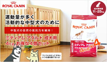 【あす楽】【お得な4個セット】ロイヤルカナン ミディアム アダルト 生後12ヵ月齢から7歳までの活発な中型犬に 4kg×4個 / 安心の正規品 / [ROYAL CANIN SHN 犬用ドライ] JAN:3182550708197 #w-137897