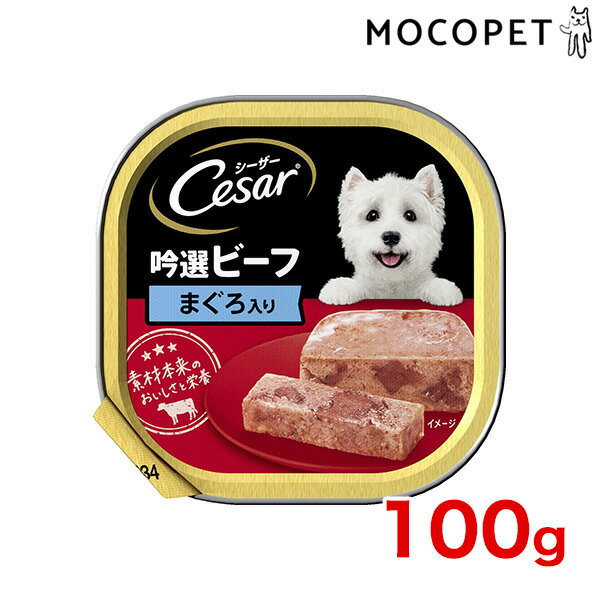 【最大1万円オフクーポン！※要LINE条件達成】[シーザー]Cesar吟選ビーフ まぐろ入り 100g / 犬用 4902397790013 ウェット トレイ ドッグフード いぬ #w-100360