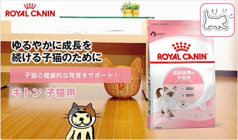 【あす楽】[ロイヤルカナン]ROYAL CANINFHN キトン 子猫用 2kg フード #w-105158-00-00