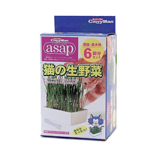 ハヤシ asap 猫の生野菜 6P