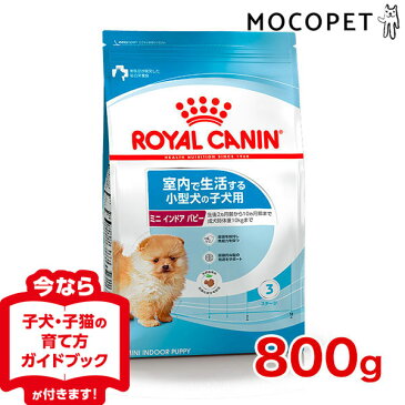 【あす楽】最大350円オフ★ロイヤルカナン ミニ インドア パピー 800g 室内で生活し、外出が少ない小型犬 子犬用 [ROYAL CANIN/SHN/犬用ドライ/ドッグフード/犬] 子犬 仔犬 3182550849364 #w-113809 【RC-ILJ】[旧インドアライフ ジュニア]【RCA】【RCSC】