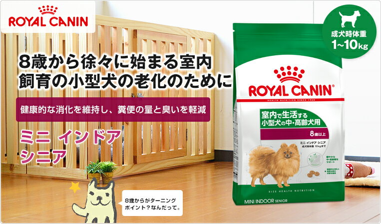 【あす楽】ロイヤルカナン ミニ インドア シニア 3.5kg / 室内で生活し、外出が少ない中・高齢犬用/ 犬 /[ROYAL CANIN LHN 犬用ドライ いぬ DOG ドッグフード] #w-156767[旧インドアライフ シニア]【お得な4個セット】【RCA】【RCSC】