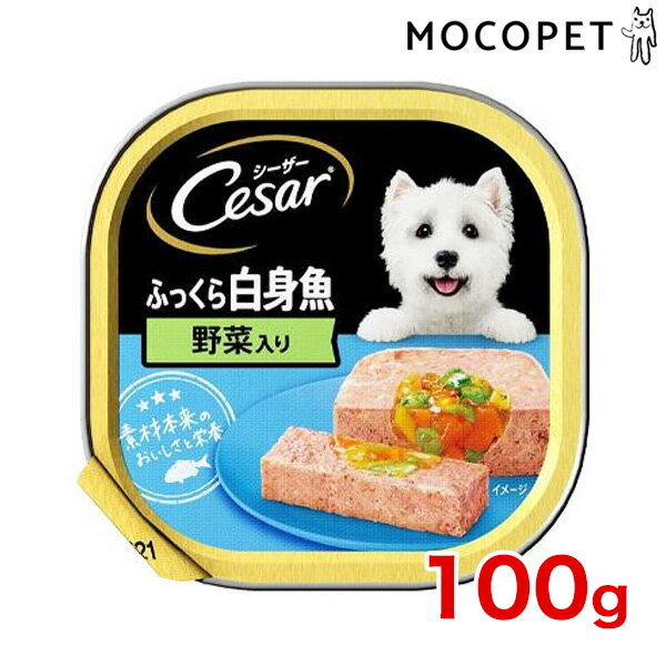 [V[U[]Cesarӂ甒g ؓ 100g / p 4902397822226 EFbg gC hbOt[h  #w-114167