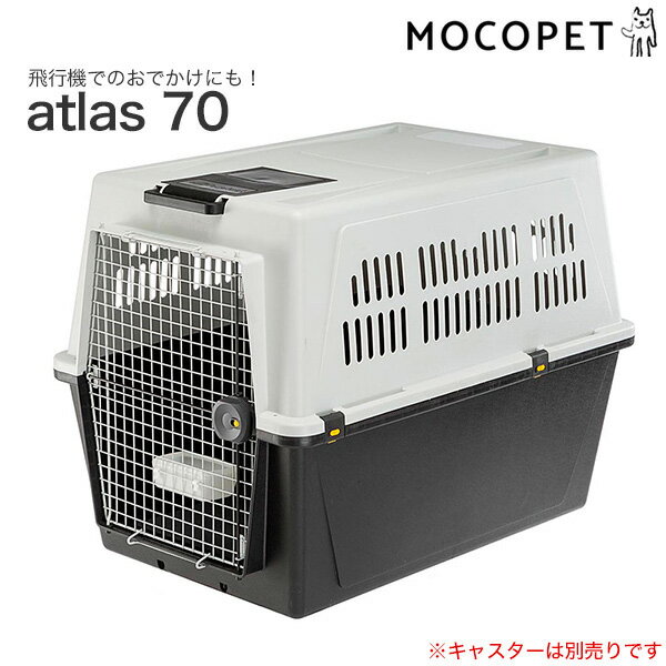 ファンタジーワールド アトラス 70 グレー / 犬用 キャリー ハード おでかけ 通院 #w-132479