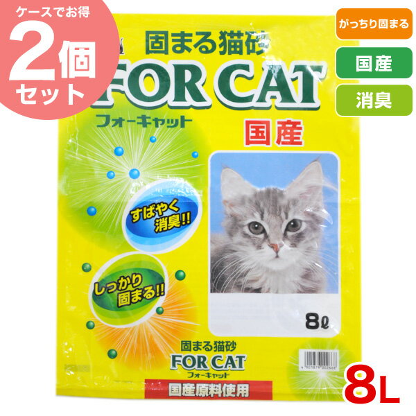 【まとめ買い】フォーキャット 8Ｌ