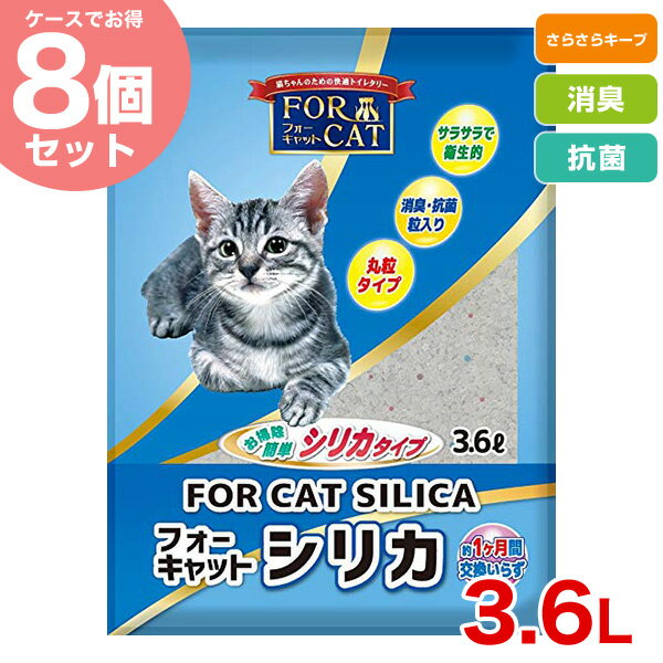 フォーキャット シリカ 3.6L