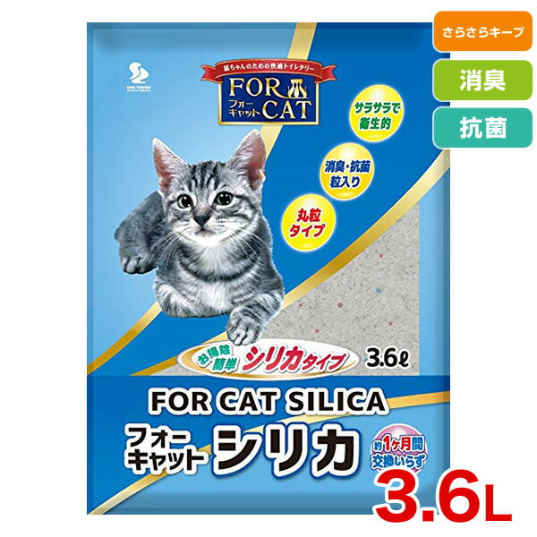 フォーキャット シリカ 3.6L