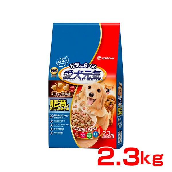 jE`[ C 얞CɂȂ鈤p 2.3kg /p hbOt[h hC 4520699657966 #w-138850