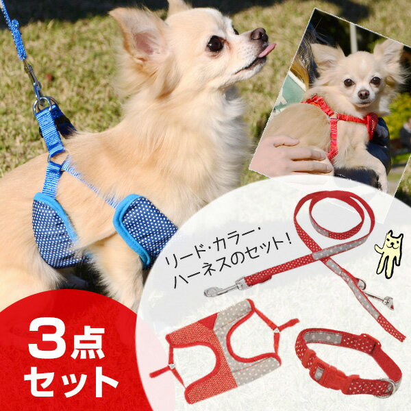 【訳アリ】【3点セット】[アドメイト]Add.Mate ツートンドットカラー 首輪/ハーネス/リード 小型犬用 #w-138953 破格