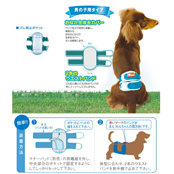 【あす楽】P.one[ピーワン] 第一衛材 男の子のためのマナーホルダー 3Sサイズ /犬用 日本製 トイレ おでかけ マーキング おもらし 介護 #w-139266