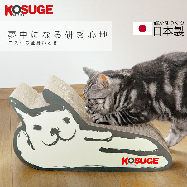 【日本製】バリバリガリガリ丸ごとKOSUGE