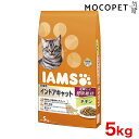 y4/20II1/2Iő100%PҌvGg[z[ACX]IAMS Lp ChALbg `L 5kg 4902397841678 #w-150202-00-00/ L Lbgt[h hC 4902397841678[RC2104]