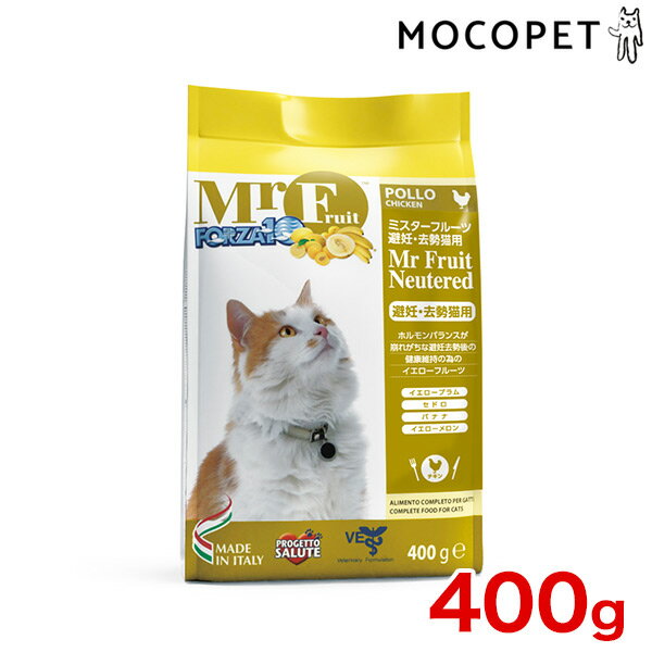 ں 8,000ߥեݥ LINEãۥեĥ10[FORZA10] ߥե롼 ǥ 400g / Mr...