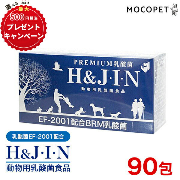 PREMIUM 乳酸菌 H＆J・I・N エイチジンブルー 1g×90包 / H&JIN 高品質乳酸菌：EF-2001配合 ヒューマングレード 動物用乳酸菌サプリ 犬 猫 小動物 4589961810010 快便 快腸 腸活 #w-156332 