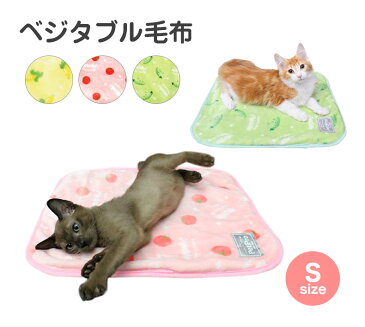 [ペットプロ]PetPro もこもこ厚手のベジタブル毛布 ミニサイズ / ブランケット マット あったか 防寒 冬物 犬 猫 4981528812206 #w-156752【犬ベッドSALE】【猫ベッドSALE】