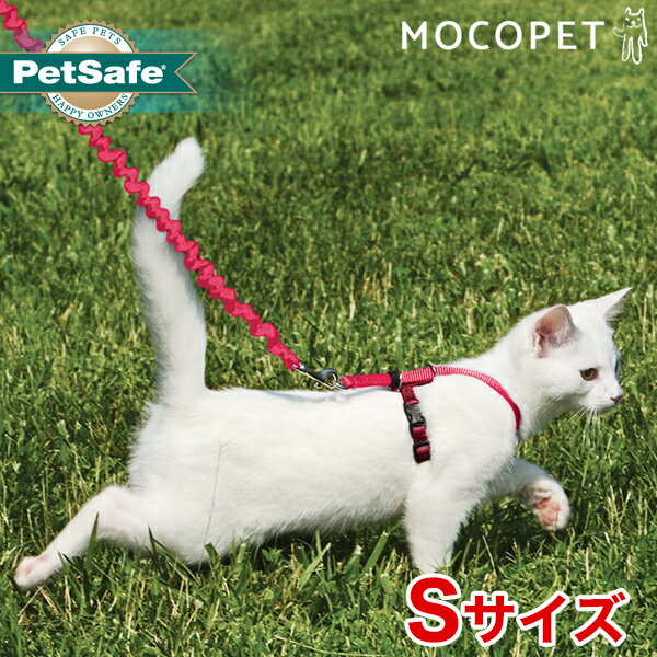 [ペットセーフ]PetSafe イージーウォーク 猫用 ハーネス＆バンジーリード Sサイズ 赤 / 首輪 散歩 猫 ペット 0729849132764 #w-157588-00-00