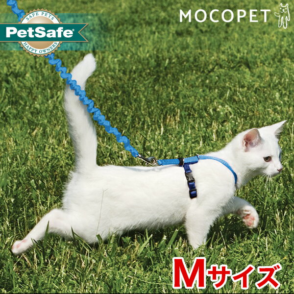 [ペットセーフ]PetSafe イージーウォーク 猫用 ハーネス＆バンジーリード Mサイズ 青 / 首輪 散歩 猫 ペット 0729849132795 #w-157591-00-00