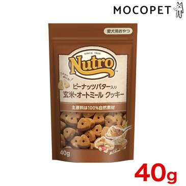 ピーナッツバター入り 玄米・オートミール クッキー 40g / おやつ 犬用 ニュートロジャパン #w-160471-00-00 4902397855316