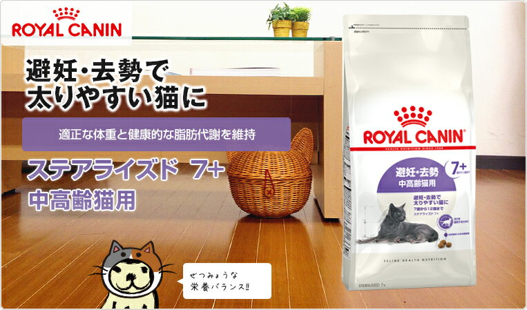 【あす楽】[ロイヤルカナン]ROYAL CANIN 【お得な4個セット】ステアライズド7+ 避妊・去勢 中高齢猫用 7歳から12歳まで 3.5kg FHN プレミアムフード ドライ 高齢猫用 猫 避妊去勢用 ダイエット 13182550927410 #w-164088-00-00[RC2204]