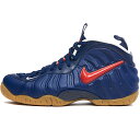 NIKE ナイキ AIR FOAMPOSITE PRO 039 USA 039 エア フォームポジット プロ オリンピック USA メンズ レディース スニーカー BLUE VOID/GUM LIGHT BROWN-WHITE-UNIVERSITY RED CJ0325-400【海外展開 日本未入荷】