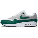 NIKE iCL AIR MAX 1 ANNIVERSARY 'EVERGREEN' GA }bNX  Ajo[T[ 