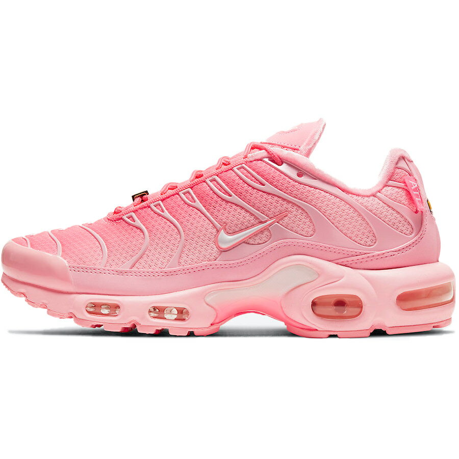 NIKE iCL WMNS AIR MAX PLUS 'CITY SPECIAL - ATLANTA' fB[XTCYf GA }bNX vX 